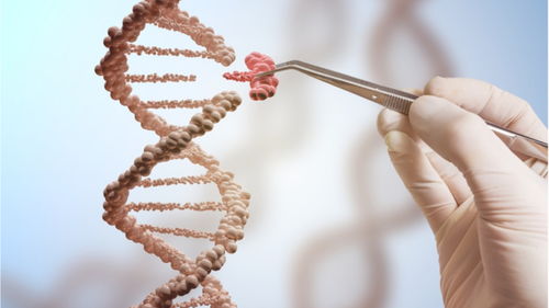 CRISPR-Cas9编辑免疫细胞首次在美成功获批人体临床试验 人类基因治疗的新纪元
